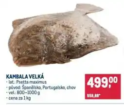 Makro Kambala velká nabídka