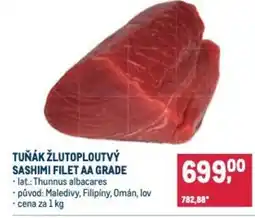 Makro Tuňák žlutoploutvý sashimi filet aa grade nabídka