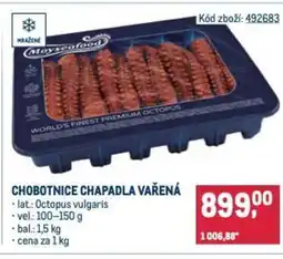 Makro Chobotnice chapadla vařená nabídka