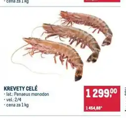 Makro Krevety celé nabídka