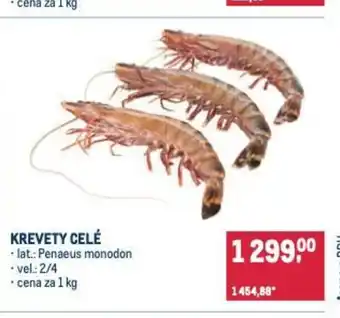 Makro Krevety celé nabídka