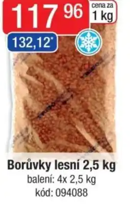 Qanto Borůvky lesní nabídka