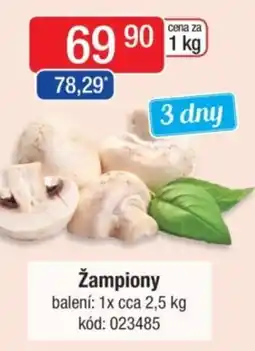 Qanto Žampiony nabídka