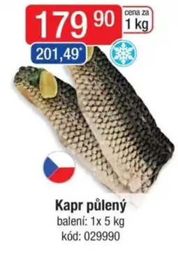 Qanto Kapr půlený nabídka