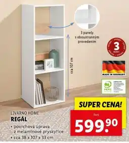 Lidl LIVARNO HOME REGÁL nabídka