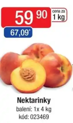 Qanto Nektarinky nabídka