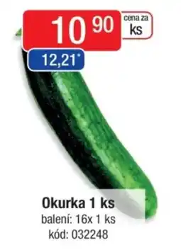 Qanto Okurka nabídka