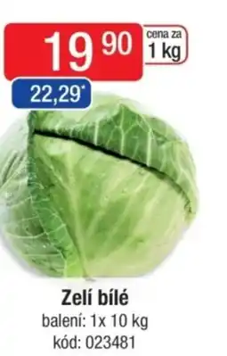 Qanto Zelí bílé nabídka