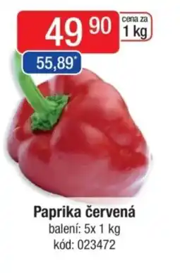 Qanto Paprika červená nabídka