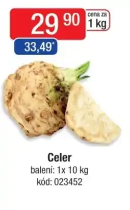 Qanto Celer nabídka