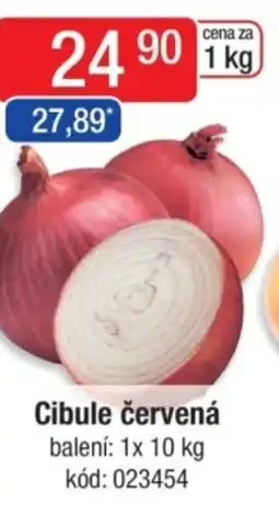 Qanto Cibule červená nabídka