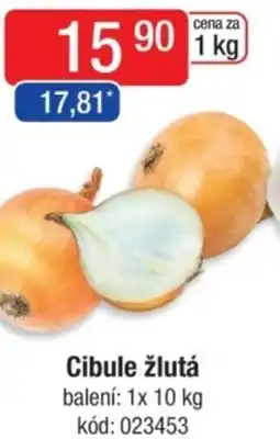 Qanto Cibule žlutá nabídka