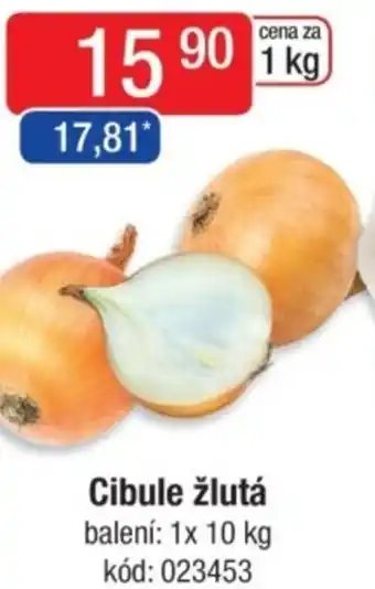 Qanto Cibule žlutá nabídka