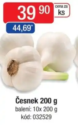 Qanto Česnek nabídka