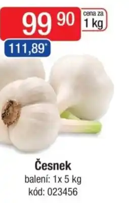 Qanto Česnek nabídka
