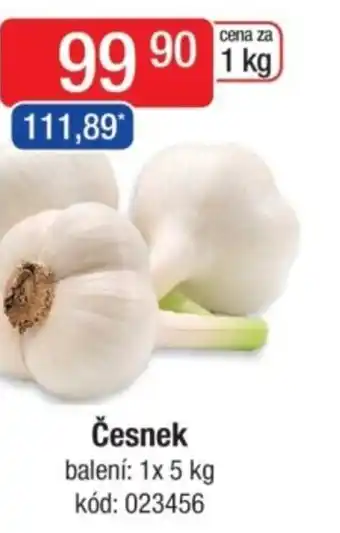 Qanto Česnek nabídka