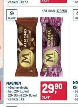 Makro Magnum nabídka