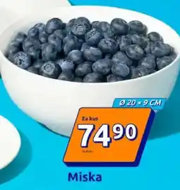 Action Miska nabídka