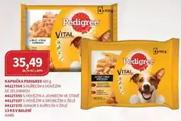 Kubík potraviny Kapsička Pedigree nabídka