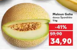 Kaufland Meloun Galia nabídka