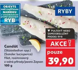 Kaufland Candát nabídka