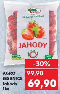 Kaufland AGRO JESENICE Jahody nabídka