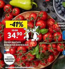 Lidl CHERRY RAJČATA KEŘÍČKOVÁ KOKTEJLOVÁ, 400 g nabídka