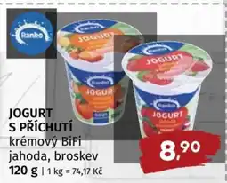 Terno JOGURT S PŘÍCHUTÍ nabídka