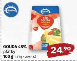 Terno Gouda 48% plátky nabídka