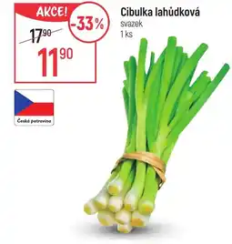 Globus Cibulka lahůdková nabídka