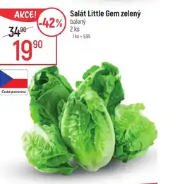 Globus Salát Little Gem zelený nabídka