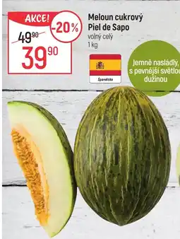 Globus Meloun cukrový Piel de Sapo nabídka