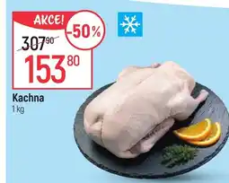 Globus Kachna nabídka