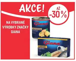 Globus Na vybrané výrobky značky Giana nabídka