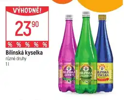 Globus Bílinská kyselka nabídka