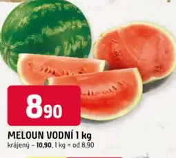 Trefa Meloun vodní nabídka