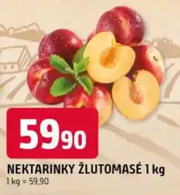 Trefa Nektarinky žlutomasé nabídka