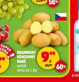 Penny Market Brambory konzumní rané nabídka