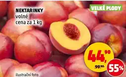 Penny Market Nektarinky nabídka