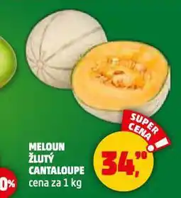 Penny Market Meloun žlutý cantaloupe nabídka