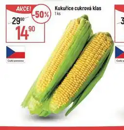Globus Kukuřice cukrový klas nabídka