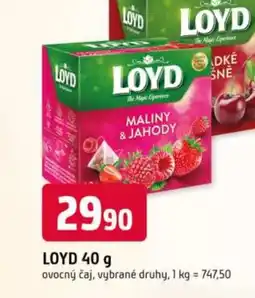 Trefa Loyd ovocný čaj nabídka