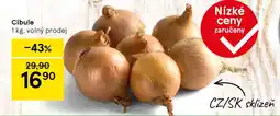 Tesco Cibule nabídka
