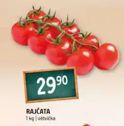 Terno Rajčata nabídka