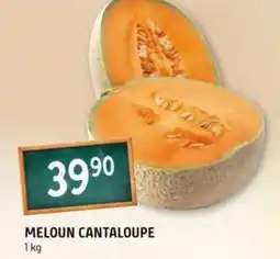 Terno MELOUN CANTALOUPE nabídka