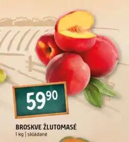 Terno Broskve žlutomasé nabídka