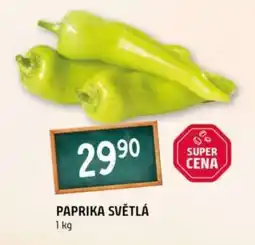 Terno Paprika světlá nabídka