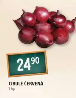 Terno Cibule červená nabídka