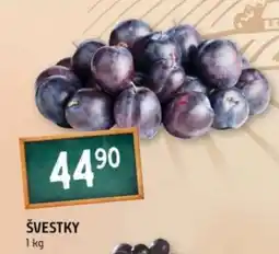 Terno Švestky nabídka