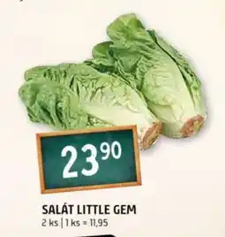 Terno Salát Little Gem nabídka